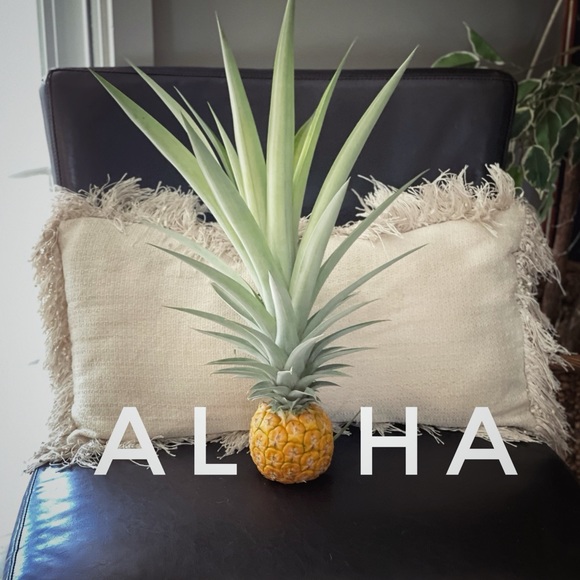 Meet your Posher, - Picture 2 of 3